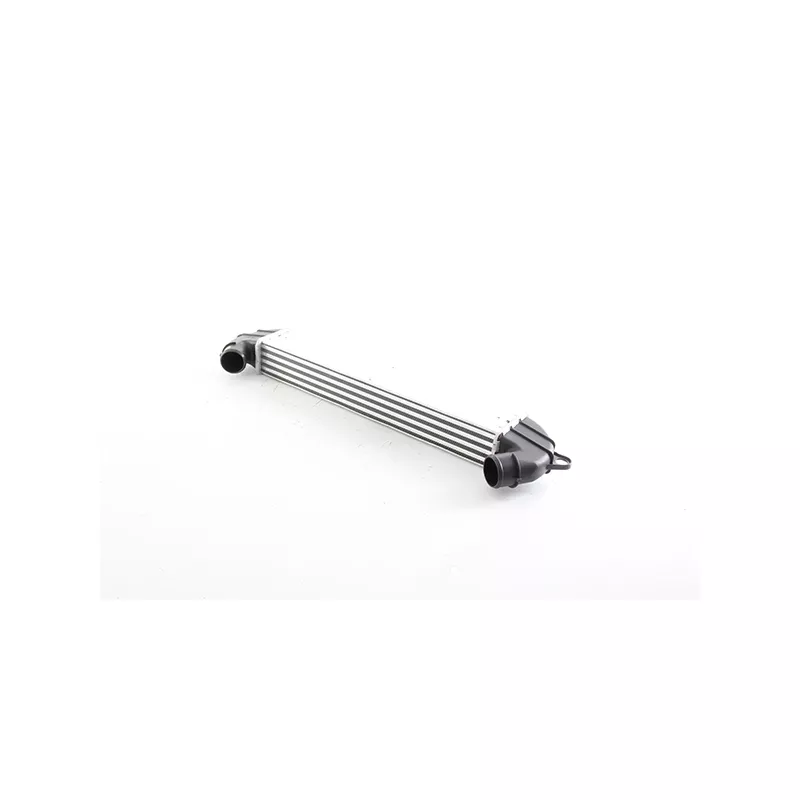 Intercooler, échangeur BSG BSG 25-535-011