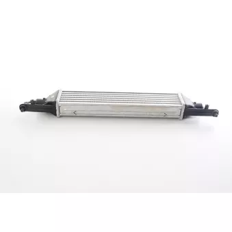 Intercooler, échangeur BSG BSG 25-535-012