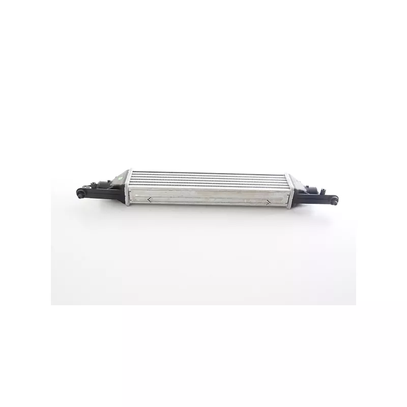 Intercooler, échangeur BSG BSG 25-535-012