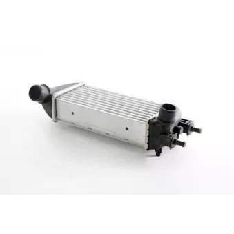 Intercooler, échangeur BSG BSG 25-535-015