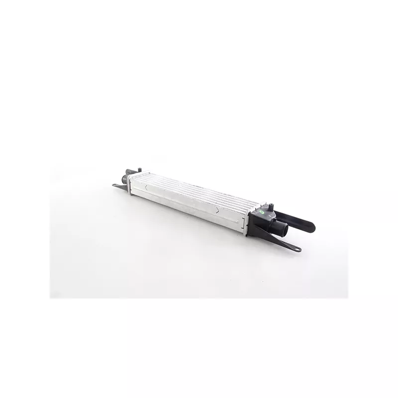 Intercooler, échangeur BSG BSG 25-535-018