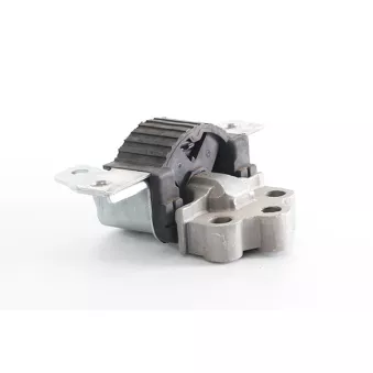 Amortisseur, support moteur BSG BSG 25-700-055