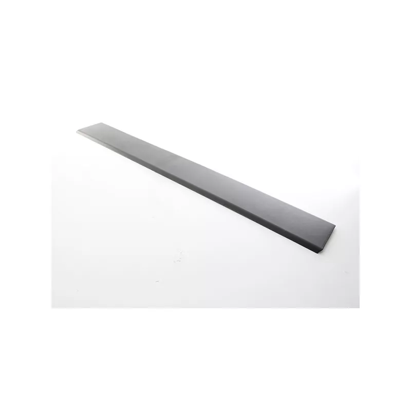 Baguette et bande protectrice, porte BSG BSG 25-922-017