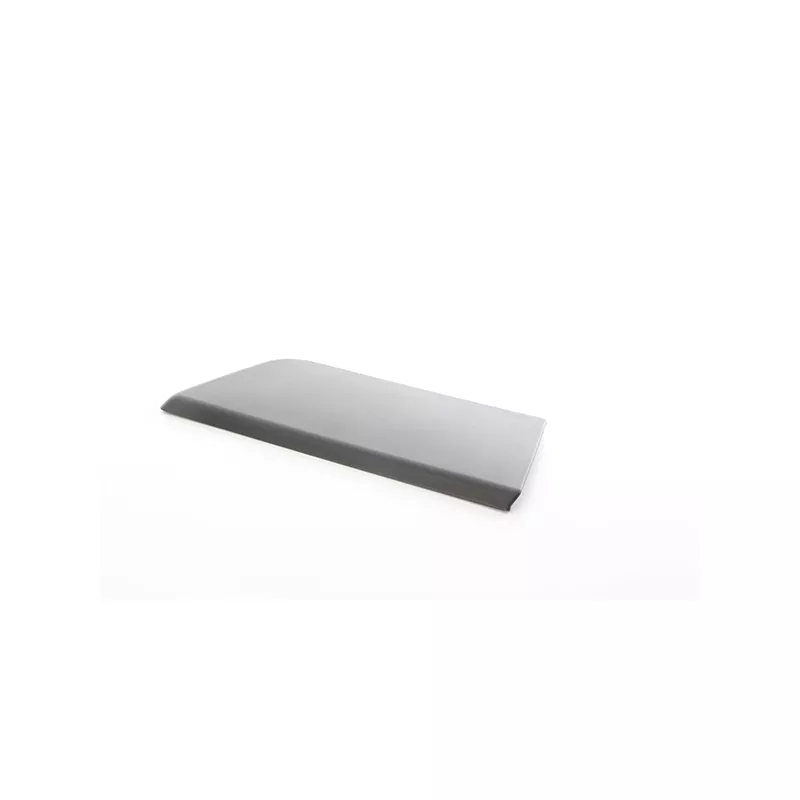 Baguette et bande protectrice, porte avant droit BSG BSG 25-922-021