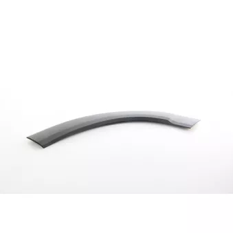 Baguette et bande protectrice, aile avant droit BSG BSG 25-922-023
