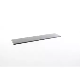 Baguette et bande protectrice, porte arrière gauche BSG BSG 25-922-030