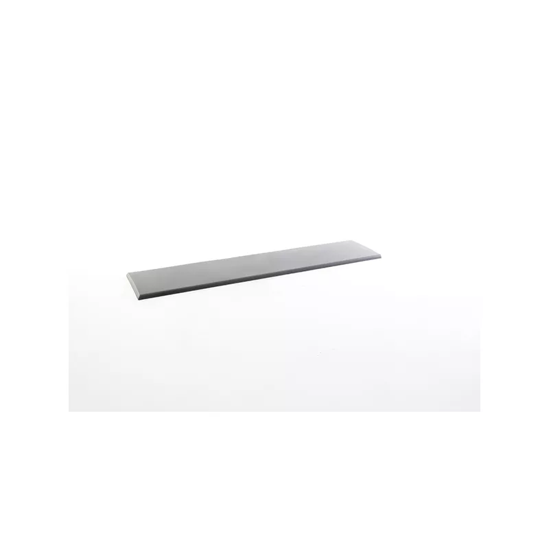 Baguette et bande protectrice, porte arrière gauche BSG BSG 25-922-030