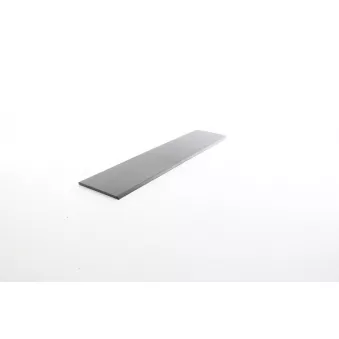 Baguette et bande protectrice, porte arrière droit BSG BSG 25-922-031