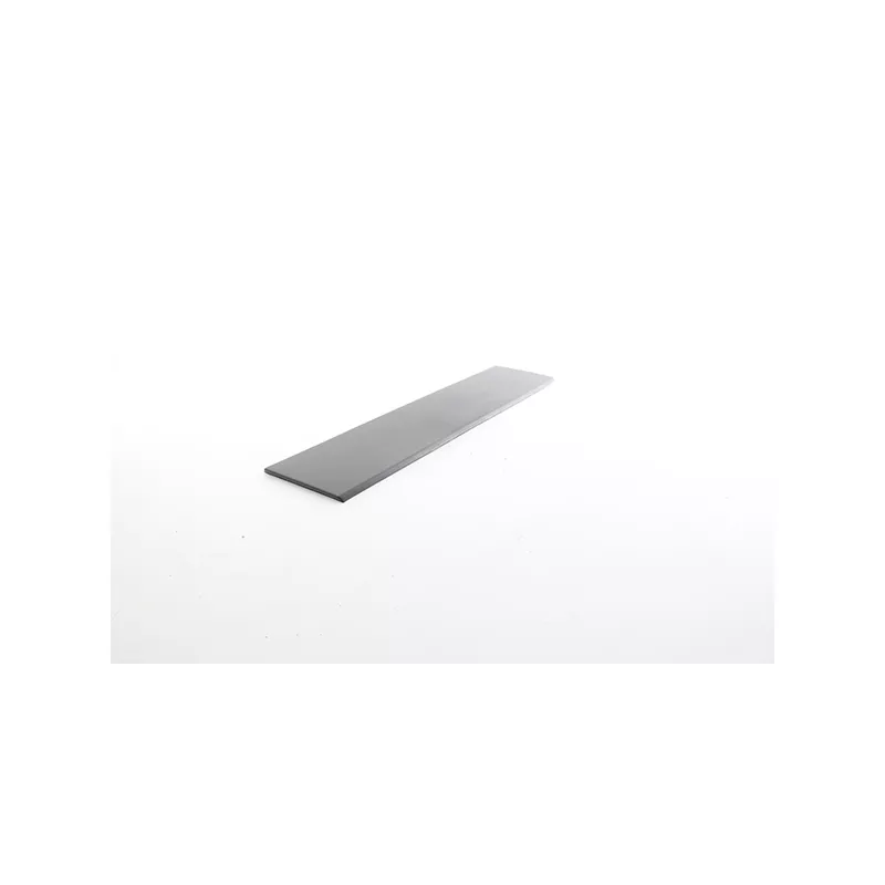 Baguette et bande protectrice, porte arrière droit BSG BSG 25-922-031