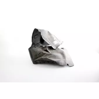 Garniture, passage de roue avant gauche BSG