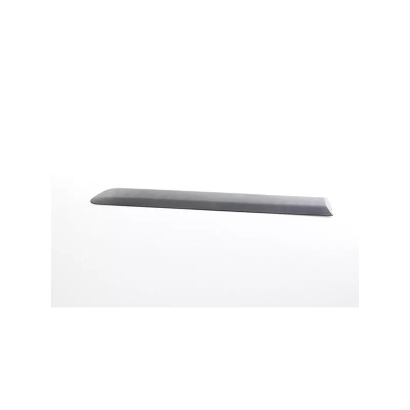 Baguette et bande protectrice, porte arrière gauche BSG BSG 25-924-001