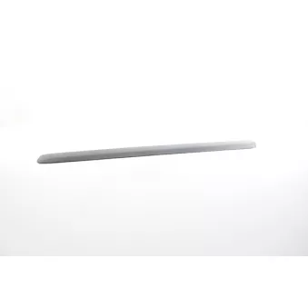 Baguette et bande protectrice, porte avant droit BSG BSG 25-924-002
