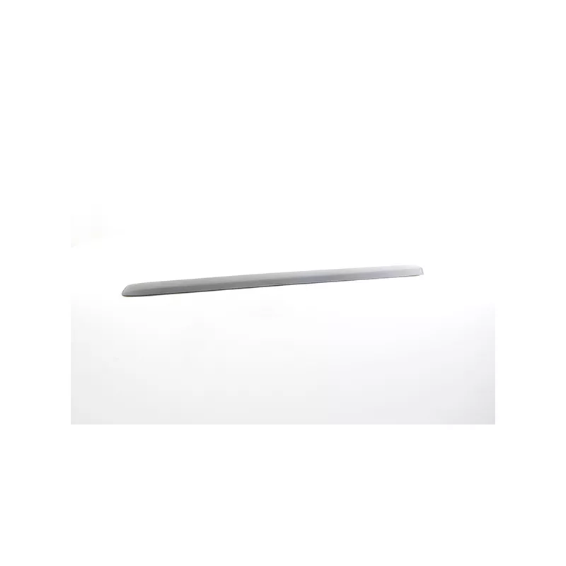 Baguette et bande protectrice, porte avant droit BSG BSG 25-924-002