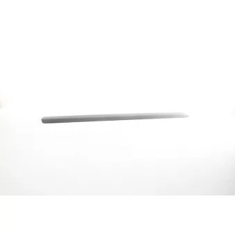 Baguette et bande protectrice, porte avant gauche BSG BSG 25-924-004