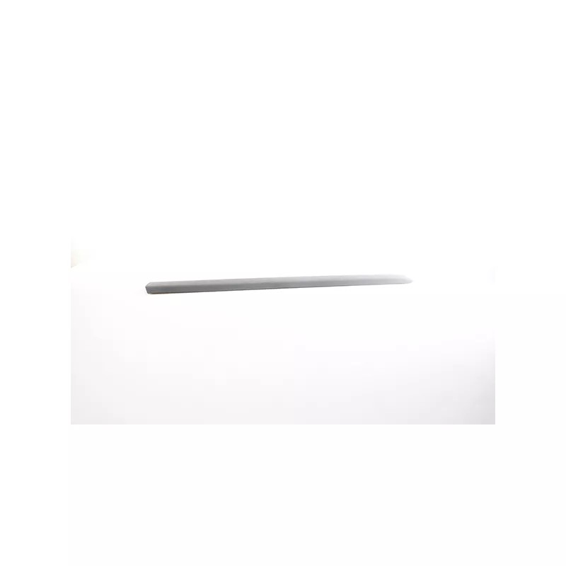 Baguette et bande protectrice, porte avant gauche BSG BSG 25-924-004