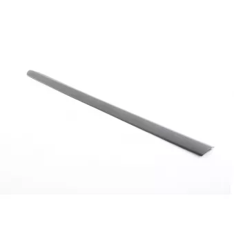 Baguette et bande protectrice, porte avant gauche BSG BSG 25-924-005