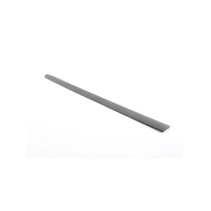 Baguette et bande protectrice, porte avant gauche BSG BSG 25-924-005