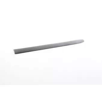 Baguette et bande protectrice, panneau latérale arrière gauche BSG BSG 25-924-007