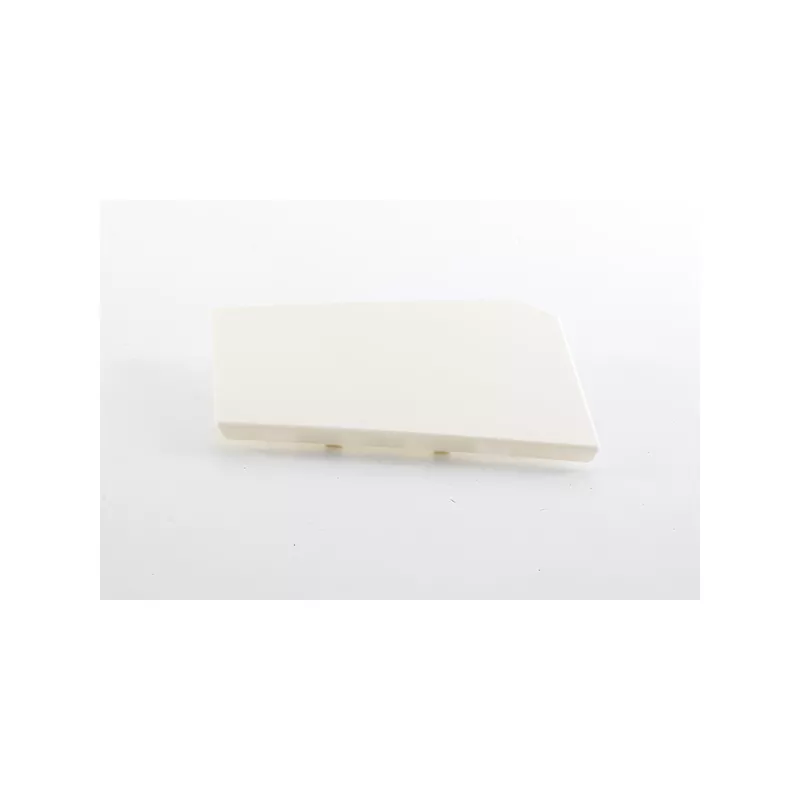 Charnière, trappe essence BSG BSG 25-971-010