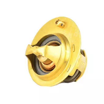 Thermostat d'eau BSG BSG 30-125-020