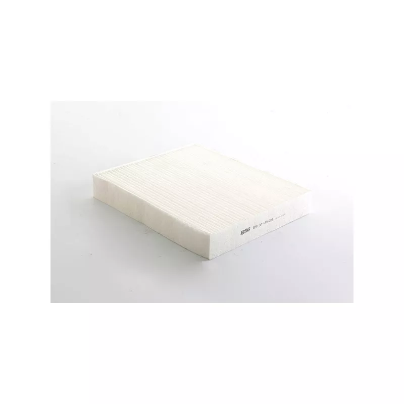 Filtre, air de l'habitacle BSG BSG 30-145-026