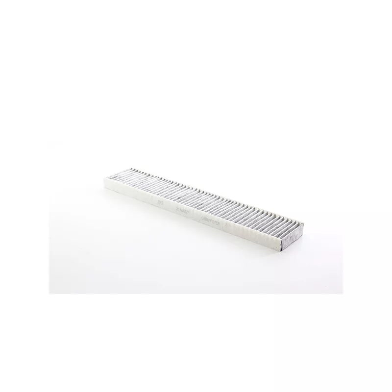 Filtre, air de l'habitacle BSG BSG 30-145-027