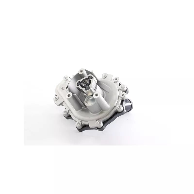 Pompe à eau BSG BSG 30-500-022