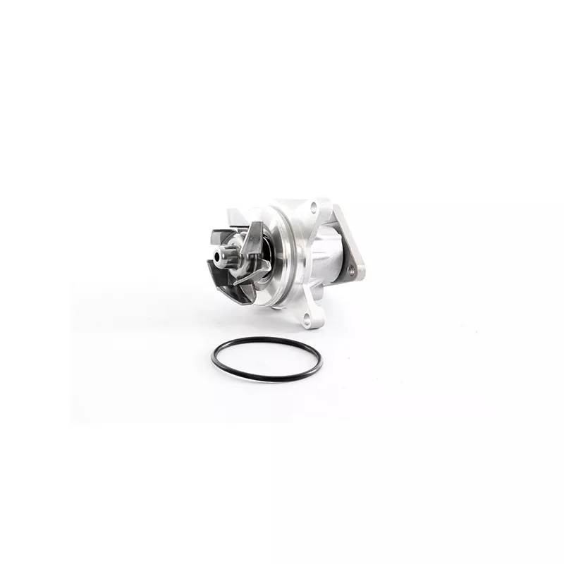 Pompe à eau BSG BSG 30-500-025
