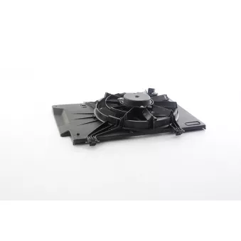 Ventilateur, refroidissement du moteur BSG