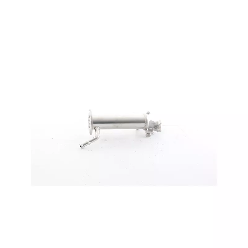 Radiateur, réaspiration des gaz d'échappement BSG BSG 30-725-116