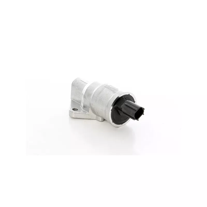 Controle de ralenti, alimentation en air BSG BSG 30-836-005