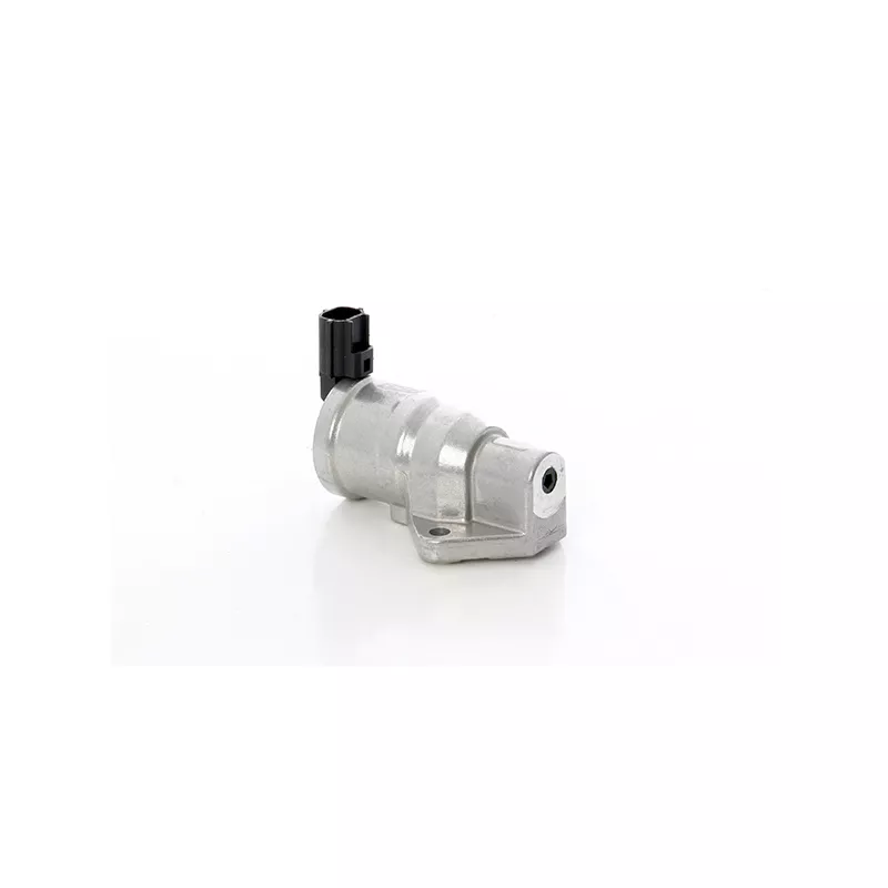 Controle de ralenti, alimentation en air BSG BSG 30-836-011