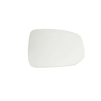 Verre de rétroviseur, rétroviseur extérieur BLIC 6102-24-2002760P