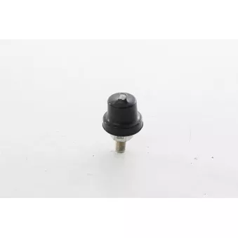 Indicateur de pression d'huile BSG BSG 30-840-078