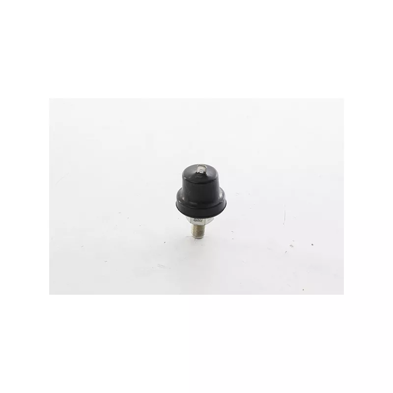 Indicateur de pression d'huile BSG BSG 30-840-078