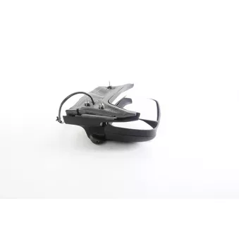 Rétroviseur extérieur BSG BSG 30-900-104