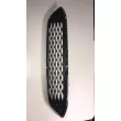 Grille de radiateur BSG BSG 30-927-023 - Visuel 3