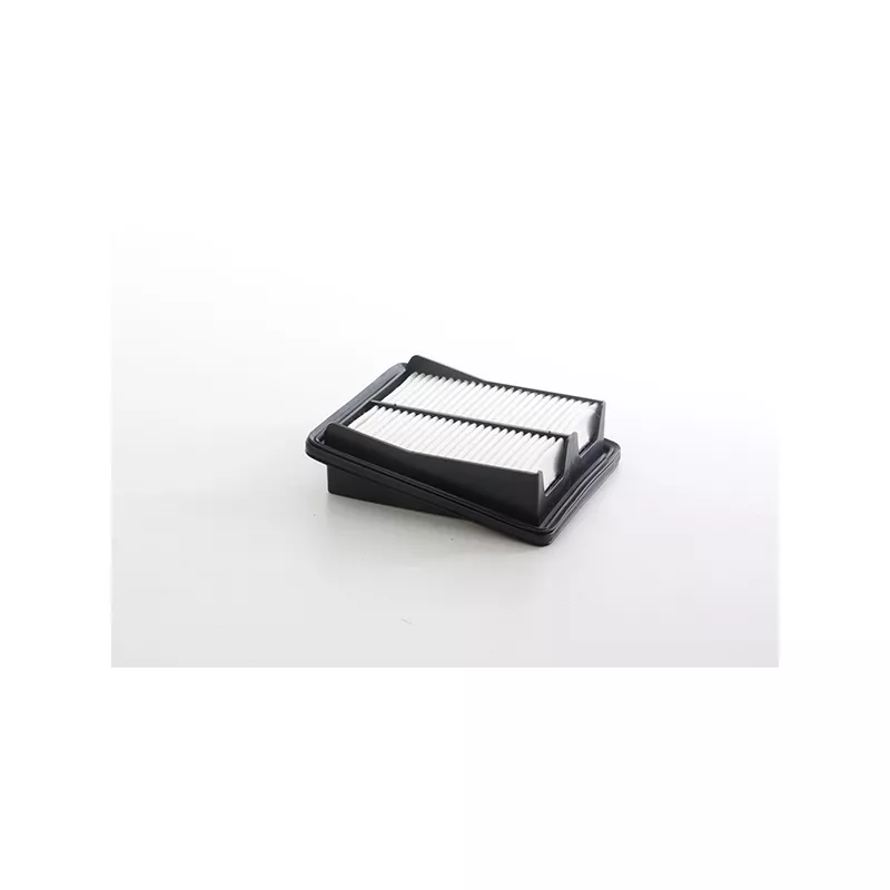 Filtre à air BSG BSG 35-135-015