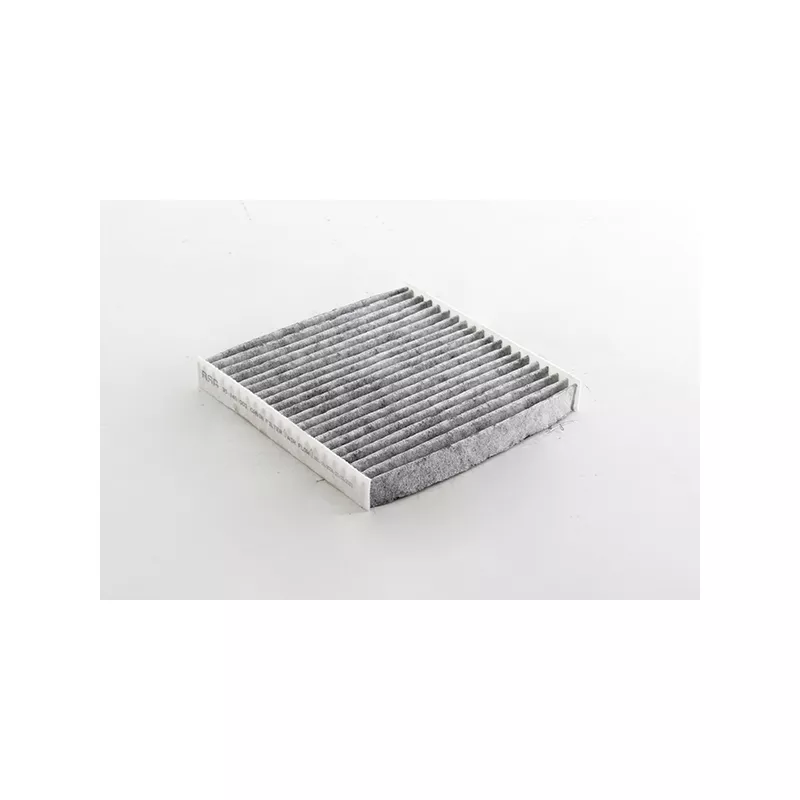 Filtre, air de l'habitacle BSG BSG 35-145-003