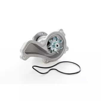 Pompe à eau, refroidissement du moteur BSG BSG 35-500-002