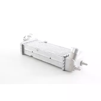 Intercooler, échangeur BSG BSG 40-535-001