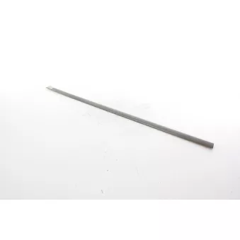 Baguette et bande protectrice, porte avant droit BSG