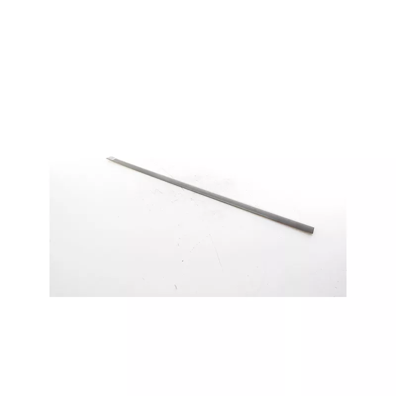 Baguette et bande protectrice, porte avant droit BSG BSG 40-925-004