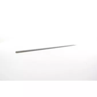 Baguette et bande protectrice, porte avant gauche BSG