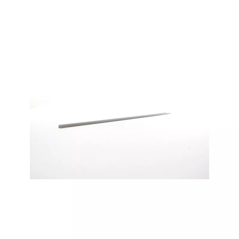 Baguette et bande protectrice, porte avant gauche BSG BSG 40-925-008