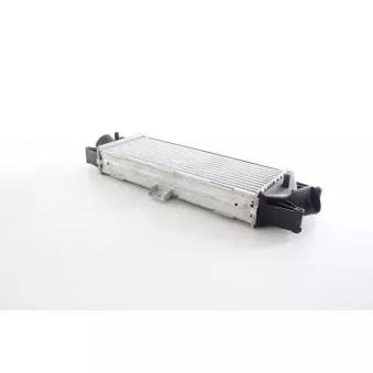 Intercooler, échangeur BSG BSG 42-535-001