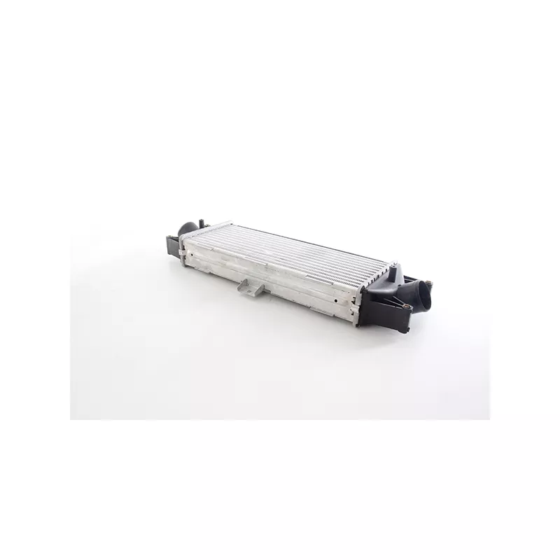 Intercooler, échangeur BSG BSG 42-535-001