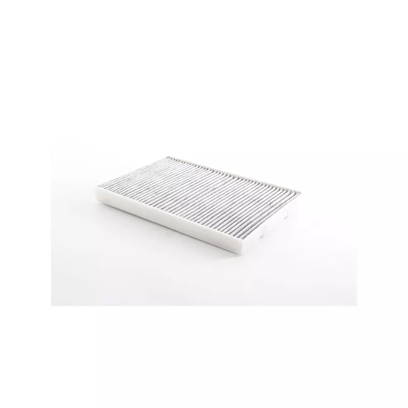 Filtre, air de l'habitacle BSG BSG 60-145-038