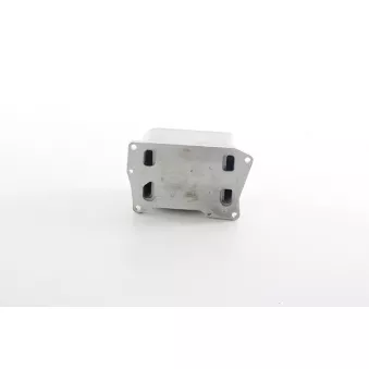 Radiateur d'huile BSG BSG 60-506-019