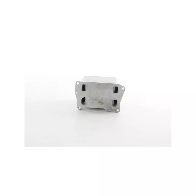 Radiateur d'huile BSG BSG 60-506-019